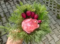 CIMG2795.webp