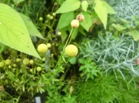 CIMG2773.webp