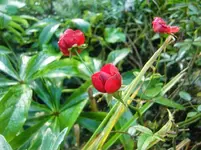 CIMG2757.webp
