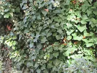 023.webp