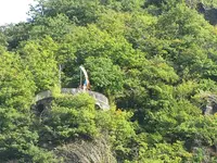 140.webp