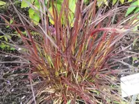 Bilda 0413.webp