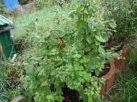 DSCF7018.webp