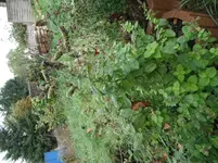 DSCF7019.webp