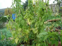 DSCF7022.webp