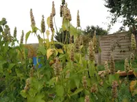 DSCF7023.webp