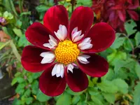 018.webp
