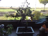 DSCF9733.webp