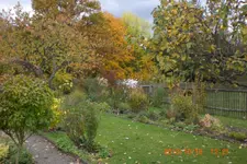 Garten 10 2013 001.webp