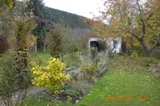 Garten 10 2013 002.webp