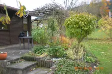 Garten 10 2013 003.webp
