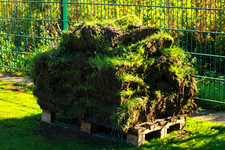 Teil der Grassoden_600.webp