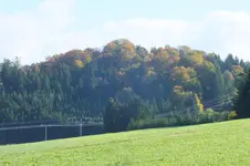 2013_1018Herbst0007.webp