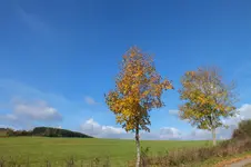 2013_1018Herbst0008.webp
