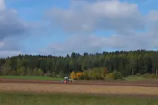 2013_1018Herbst0015.webp