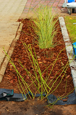 Folie und Rindenmulch ins Beet_600.webp