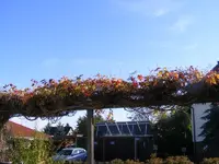 Weinverschnitt2 19.10.2013.webp