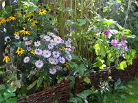 Herbst4.webp