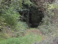 SAM_2347.webp