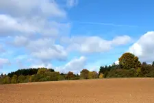 2013_1018Herbst0020 feld.webp