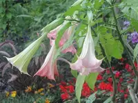 Bilda 0022.webp