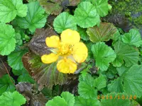 oktob 11 015.webp