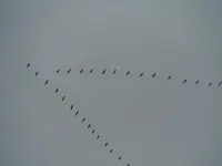 DSCF7032.webp