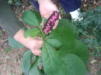 2013-10-18 12.19.40.jpg
