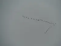 DSCF7038.webp