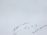 P1160851.webp