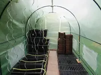 Folientunnel.webp