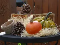 Herbstdeko2.webp
