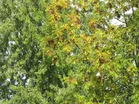 049.webp