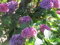 054.webp