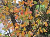 045.webp