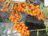 Bilda 0159.webp