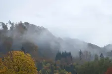 2013_1020Herbst0016.webp