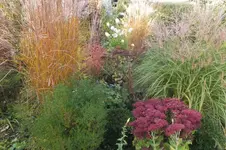 2013_1018Herbst0037.webp