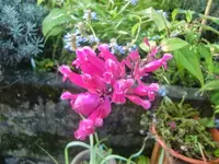 CIMG2826.webp