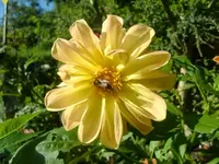 CIMG2921.webp