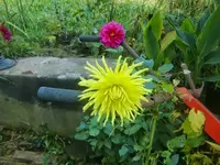 CIMG2961.webp