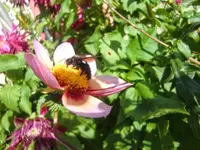 CIMG2986.webp