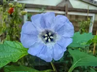 CIMG2939.webp