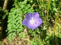 CIMG2917.webp