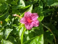 CIMG2914.webp