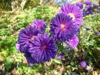 CIMG2906.webp