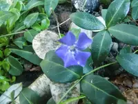 CIMG2857.webp