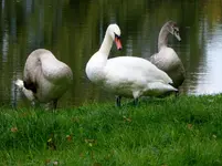 P1000818.webp
