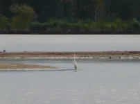 P1000820.webp
