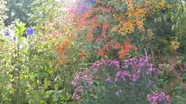 DSCN5881.webp